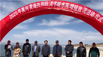 To conserve green fishery resources | the Longyangxia Reservoir breezes and releases 300,000 fish fry