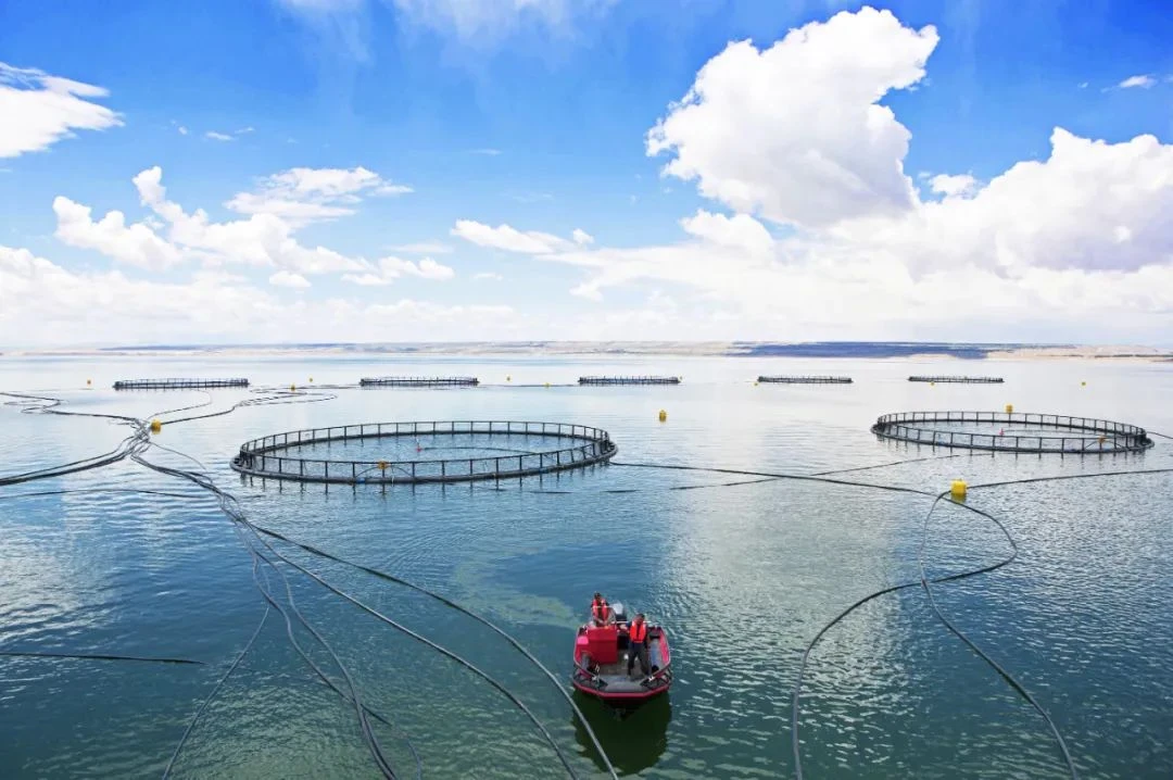 中国国际渔业博览会 (7).webp