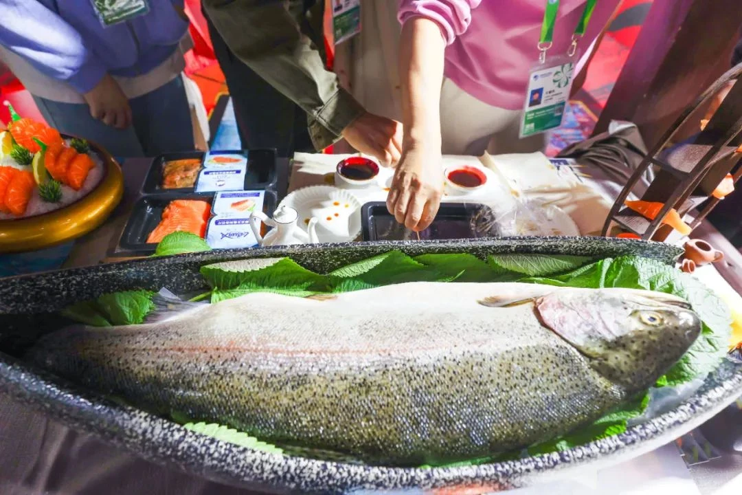 第六届国际进口博览会 (3).webp