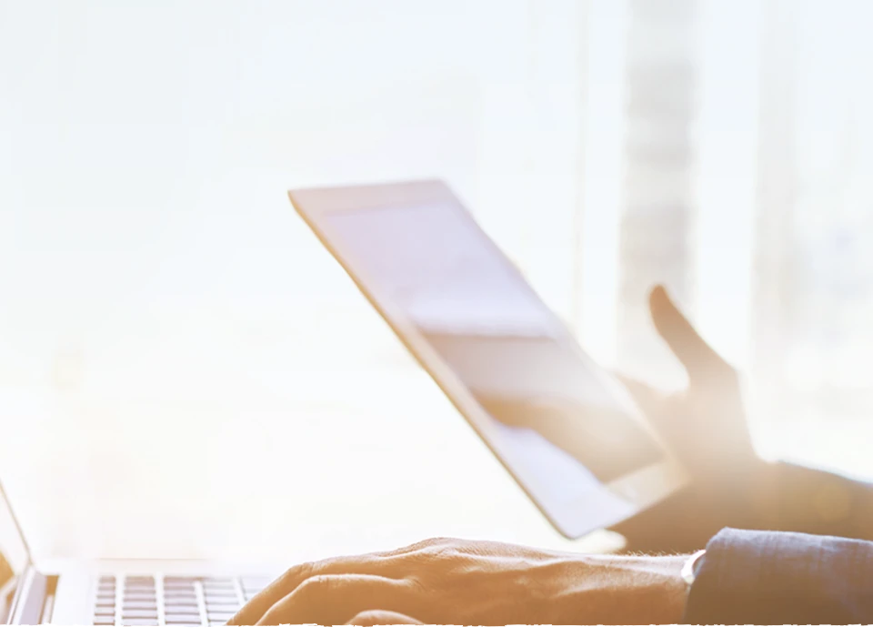 Longyang Zhixian Salmon (Rainbow Trout)