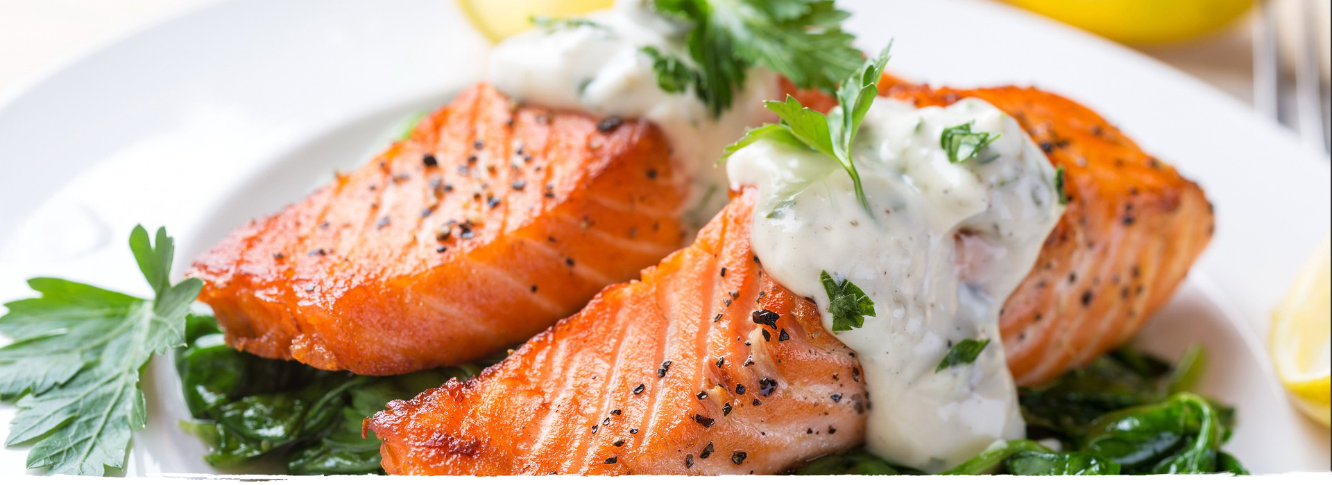 Longyang Zhixian Salmon (Rainbow Trout)