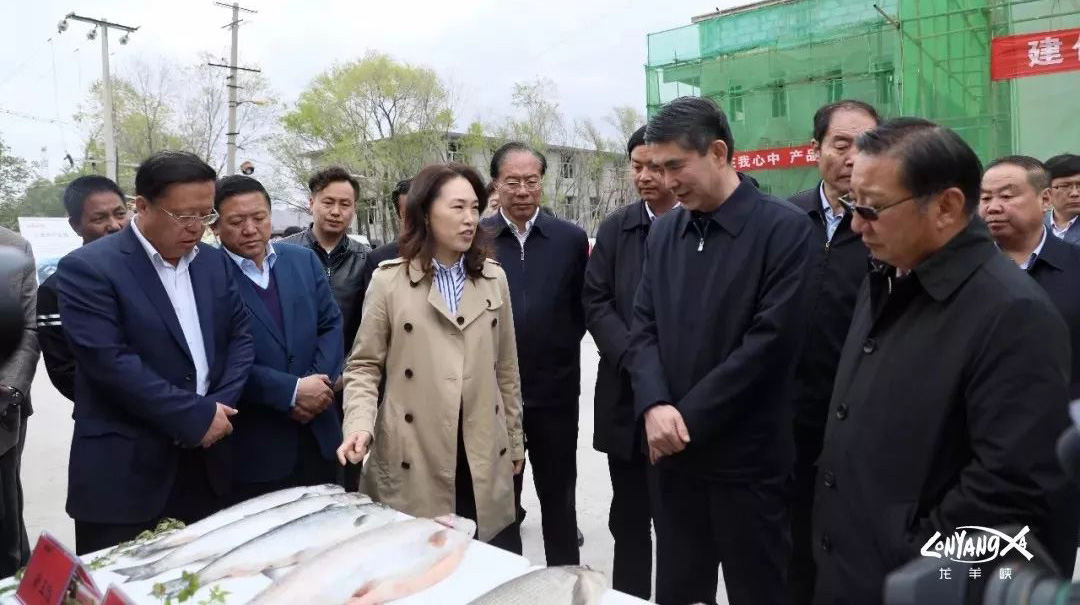 青海省委书记、省长王建军调研龙羊峡三文鱼