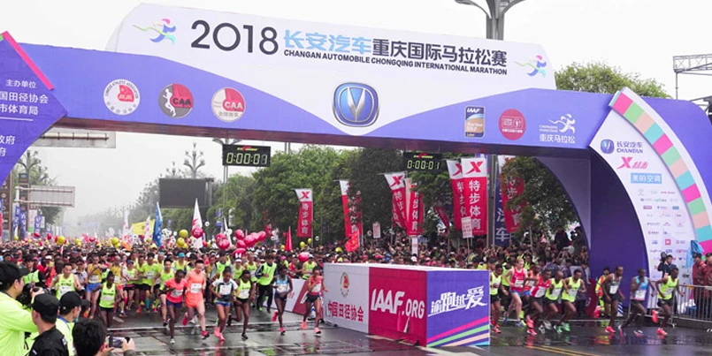 Longyang Zhixian Salmon (Rainbow Trout)