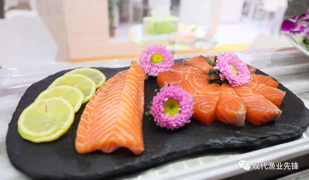 The 24th Qingdao Fishing Fair successfully closed, Longyangxia Salmon booth popularity exploded!