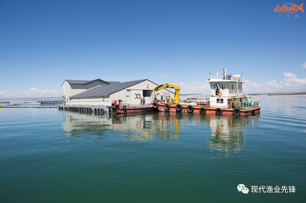 We will promote high-quality development of the fishery and accelerate the transformation and upgrading of modern fisheries