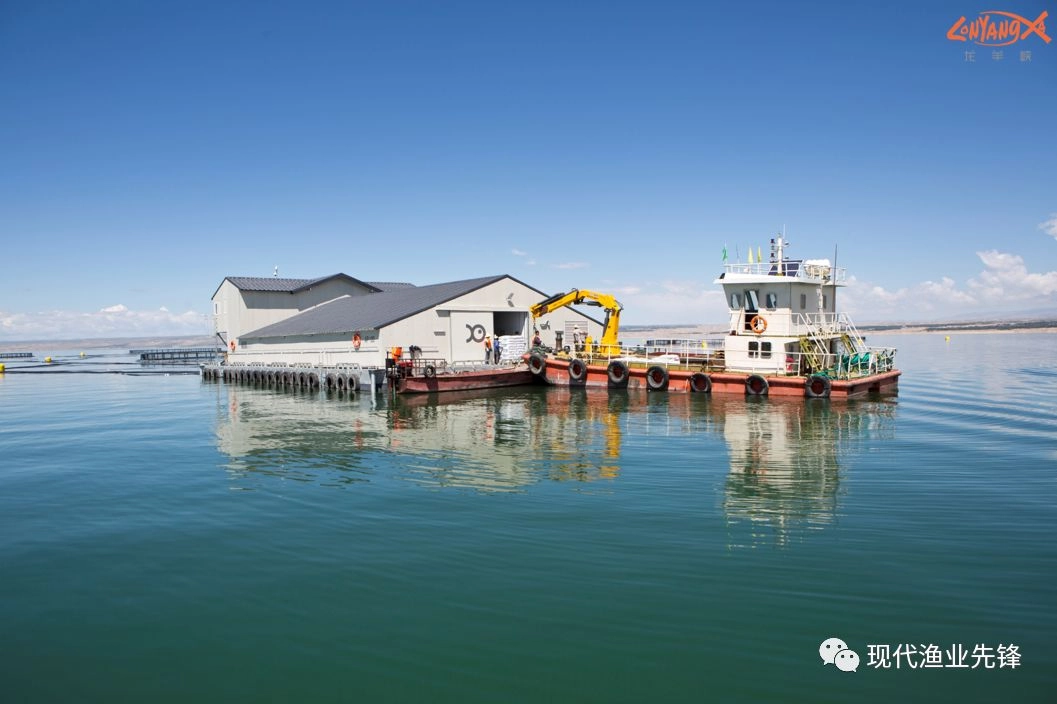 We will promote high-quality development of the fishery and accelerate the transformation and upgrading of modern fisheries