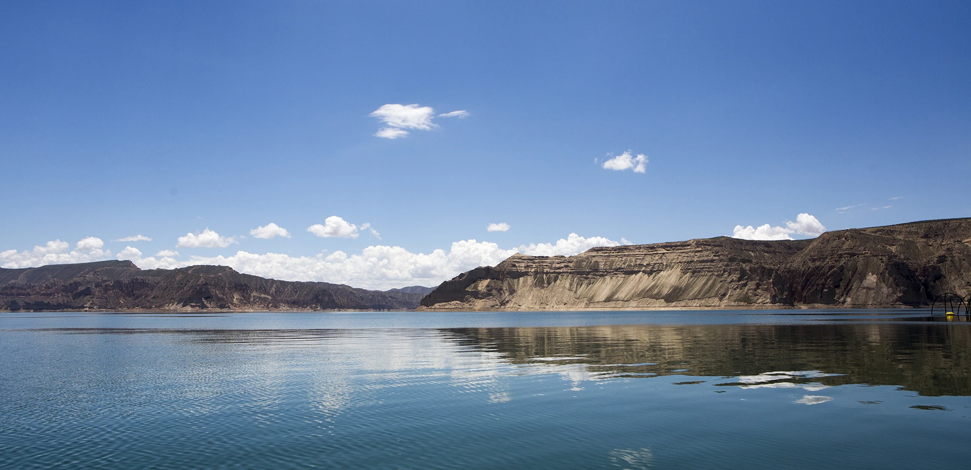 龙洋知鲜三文鱼(虹鳟)