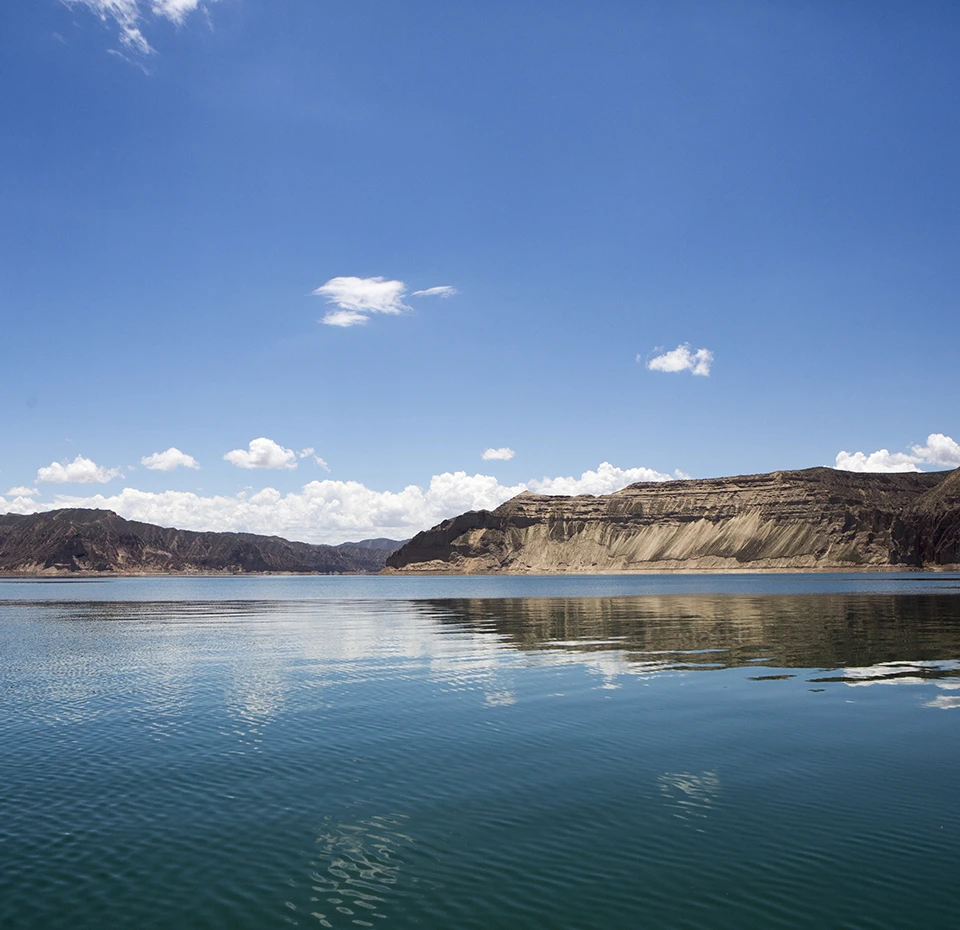 龙洋知鲜三文鱼(虹鳟)