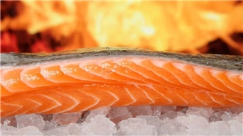 Many places of salmon gradually hit the shelves, the industry is anxious to clear up