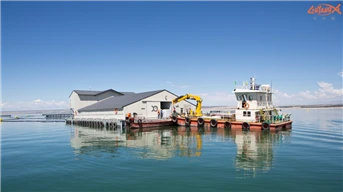 Qinghai Daily focuses on green ecological farming in Longyang Gorge