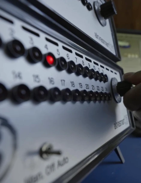 Longyang Zhixian Salmon (Rainbow Trout)