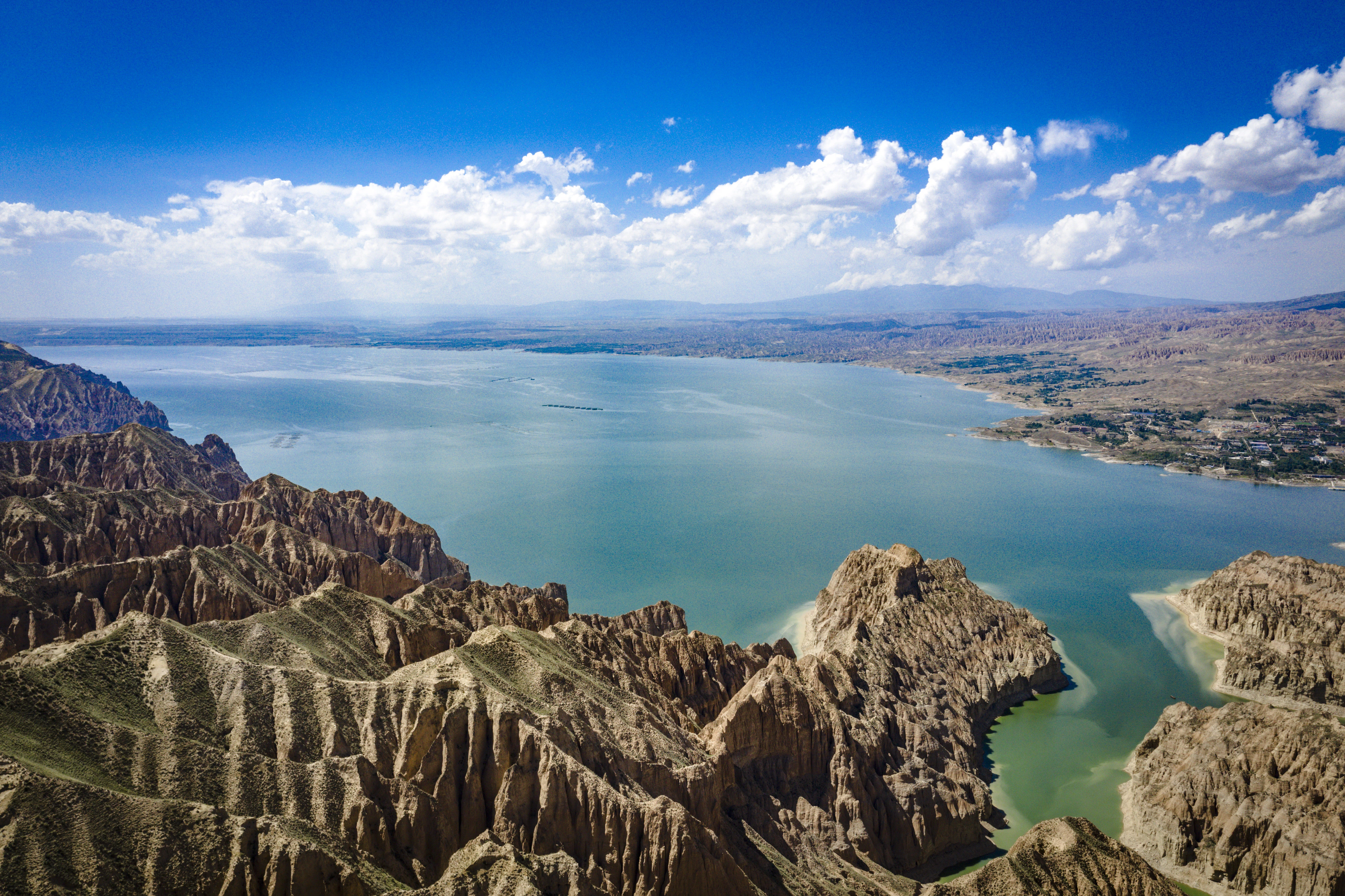 龙洋知鲜三文鱼(虹鳟)