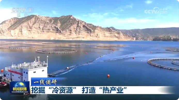 新闻联播报道：龙羊峡三文鱼引领青海冷资源产业崛起