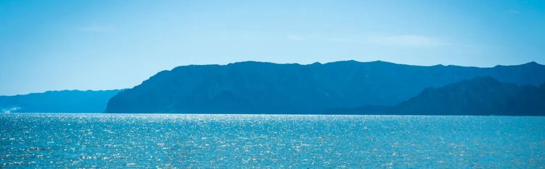 中国国际渔业博览会 (1).webp 中国国际渔业博览会 (1).webp