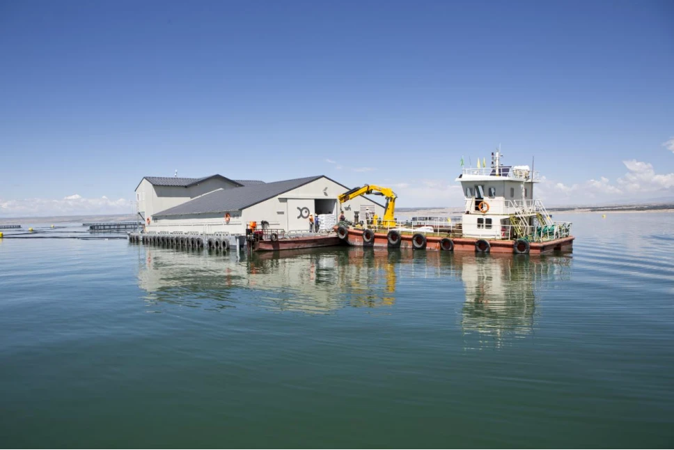 第六届国际进口博览会 (3).webp