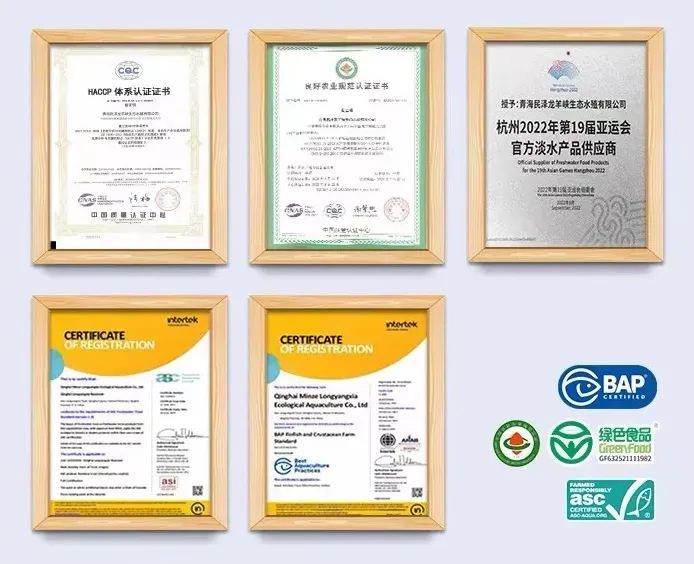 海峡两岸现代农业·花卉博览会 (5).webp 海峡两岸现代农业·花卉博览会 (5).webp