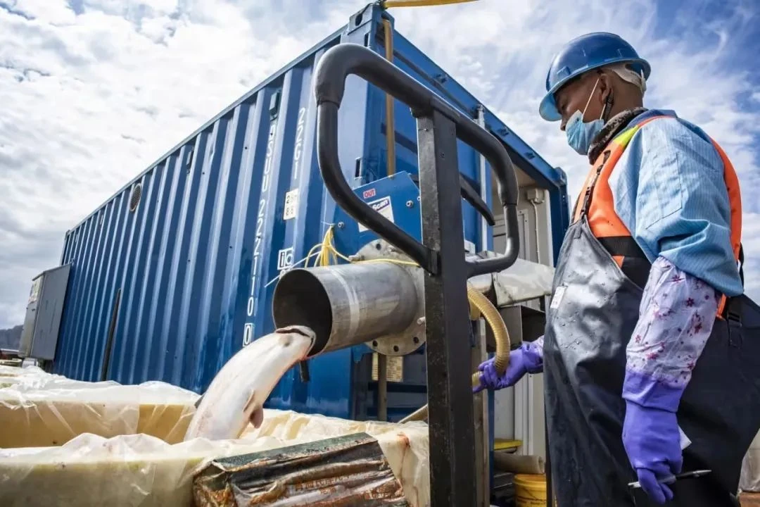 海峡两岸现代农业·花卉博览会 (7).webp 海峡两岸现代农业·花卉博览会 (7).webp