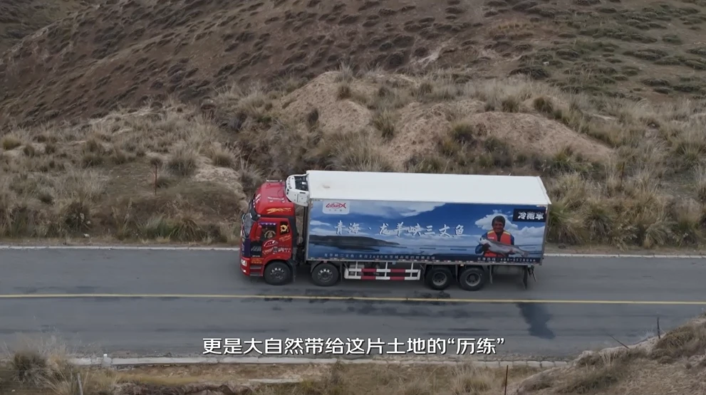 图片7.webp 图片7.webp